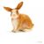 Schleich Rabbit S13827 32075311