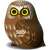 EUGY 3D Cardboard Model Kit Owl, assembled owl, 3D puzzle for kids, build your own owl, cardboard model kit, owl model, 3D owl