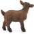 Schleich brown kid goat figurine, side view