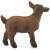 Schleich brown kid goat figurine, side view
