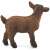 Schleich brown kid goat figurine, side view