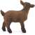 Schleich brown kid goat figurine, side view