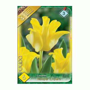 Tulipán Yellow Crown virághagymák, 6 darab - Virág