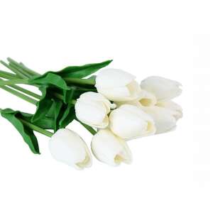 10 szálas gumi tulipán fehér 32079702 