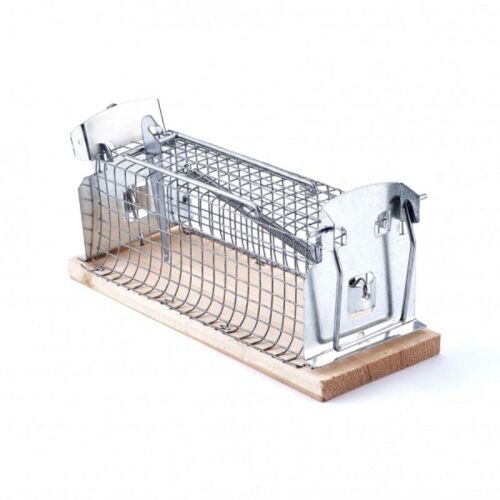 Swissinno Classic live animal trap for mice, humane mouse catcher