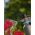 Gardena kézi Nyomáspermetező 1,25l #szürke 80123764