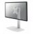 NewStar white monitor desk mount holding a screen