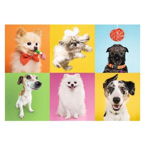 Puzzle psi s 500 dijelova 73029583