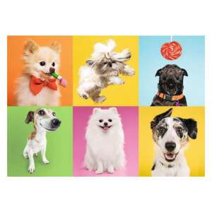 Trefl 37378 puzzle 500 kusov Zvieratá (37378) 73029583 - Puzzle