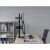 Equip 650127 dual monitor desk mount in use