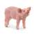 Schleich Farm World Piglet Figure
