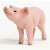 Schleich Farm World Piglet Figure