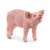 Schleich Farm World Piglet Figure