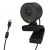 ICY BOX IB-CAM501-HD Webcam, Full HD, USB