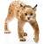Schleich Lynx Figurine, realistic animal figure for imaginative play