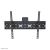 Vedere frontală a suportului de perete TV NewStar cu înclinare