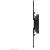 Neomounts by NewStar Fali TV Tartó - 32-55" 72960183
