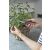 Gardena FreshCut Škare za berbu
 99369750