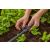 Gardena 13322-20 Micro-Drip-System 360° irrigation system (5pcs / package) 73143243