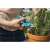 Woman using Gardena 8707-20 Balcony Pruning Shears to trim rosemary plant