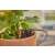 Gardena Micro-Drip-System Капкова глава, инсталирана на растение в саксия, поливане на почвата