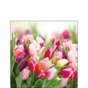 Ambiente Glorious Tulips Papírszalvéta - 25x25cm, 20db 137984857 - Ambiente
