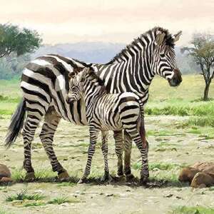 Zebras papírszalvéta 33x33cm, 20db-os 78949111 