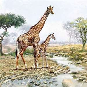 Giraffes papírszalvéta 33x33cm, 20db-os 78938448 