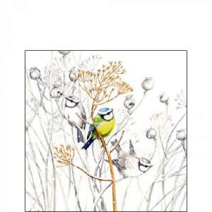 Sweet Little Bird papírszalvéta kék cinegékkel ágon - Ambiente