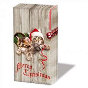 Curious Kittens karácsonyi papírzsebkendő, 10 darabos - Ambiente