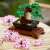 LEGO Creator Expert: Bonsai 10281 106776840