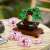 LEGO® Icons Bonsai fa 10281 106776840