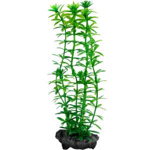 Tetra DecoArt Plant S műnövény 1 Anacharis 15 cm 72465835 