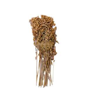 Panzi fürtös zab 60 g 81115077 - Madáreleség