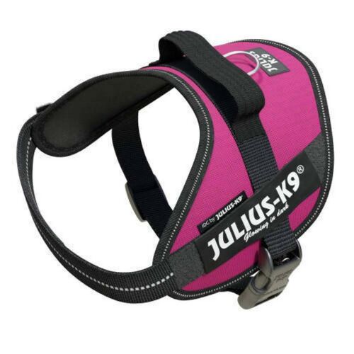 Julius-K9 IDC Powerhám - 2-es Méret (XL) 146417754 - Julius-K9