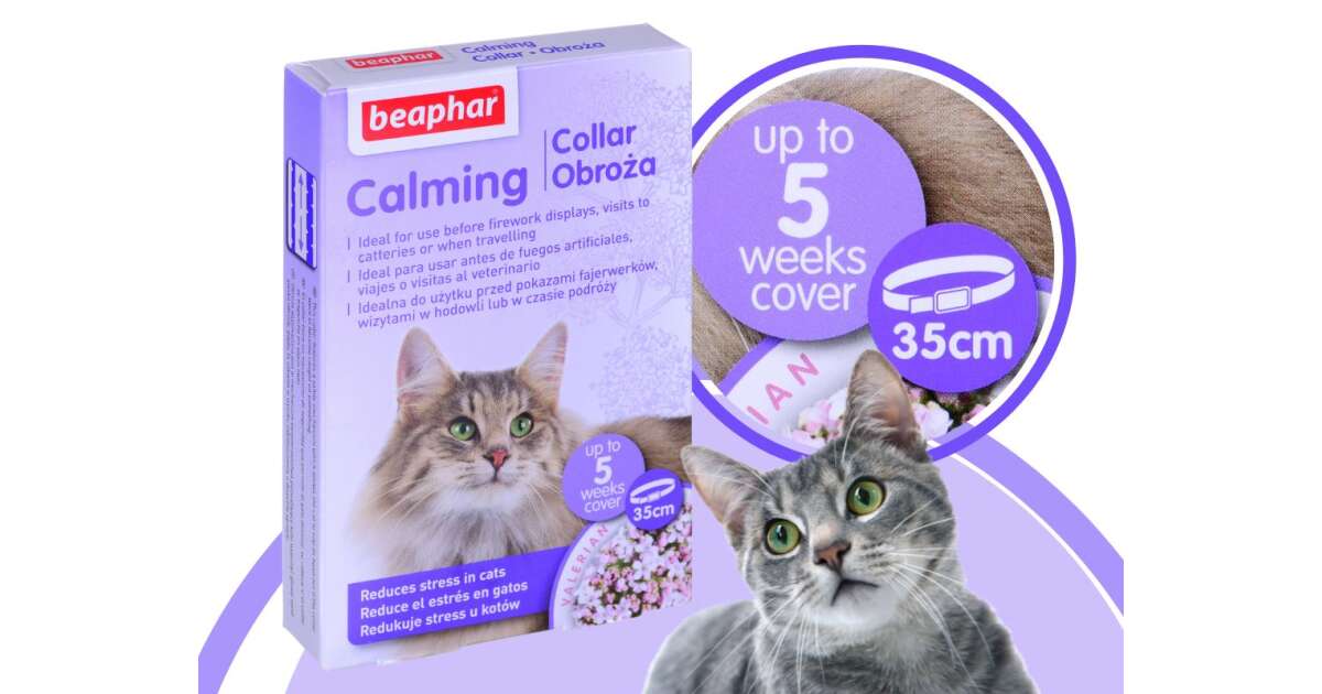 BEAPHAR Collier Calmant aux Phéromones 65cm pour Chien