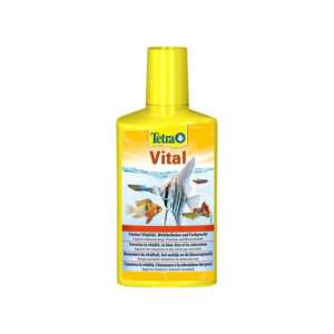 Tetra Vital środek do uzdatniania wody akwariowej, butelka 250ml, zwiększa witalność ryb, wzmacnia naturalne kolory, dostarcza niezbędne witaminy i minerały - Tetra