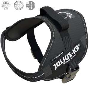 Julius-K9 IDC Powerharness Mini czarny szelki dla małych psów - Trzymanie kotów
