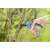 Gardena 8855-20 bypass pruning shears in use, cutting a branch
