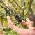 Bosch NanoBlade AdvancedCut 18 cordless saw in use pruning branches