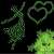Glow in the dark stars wall stickers, 100 pack, green, kids room decor