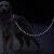 Reflective Training Leash, 3 meters 72704802