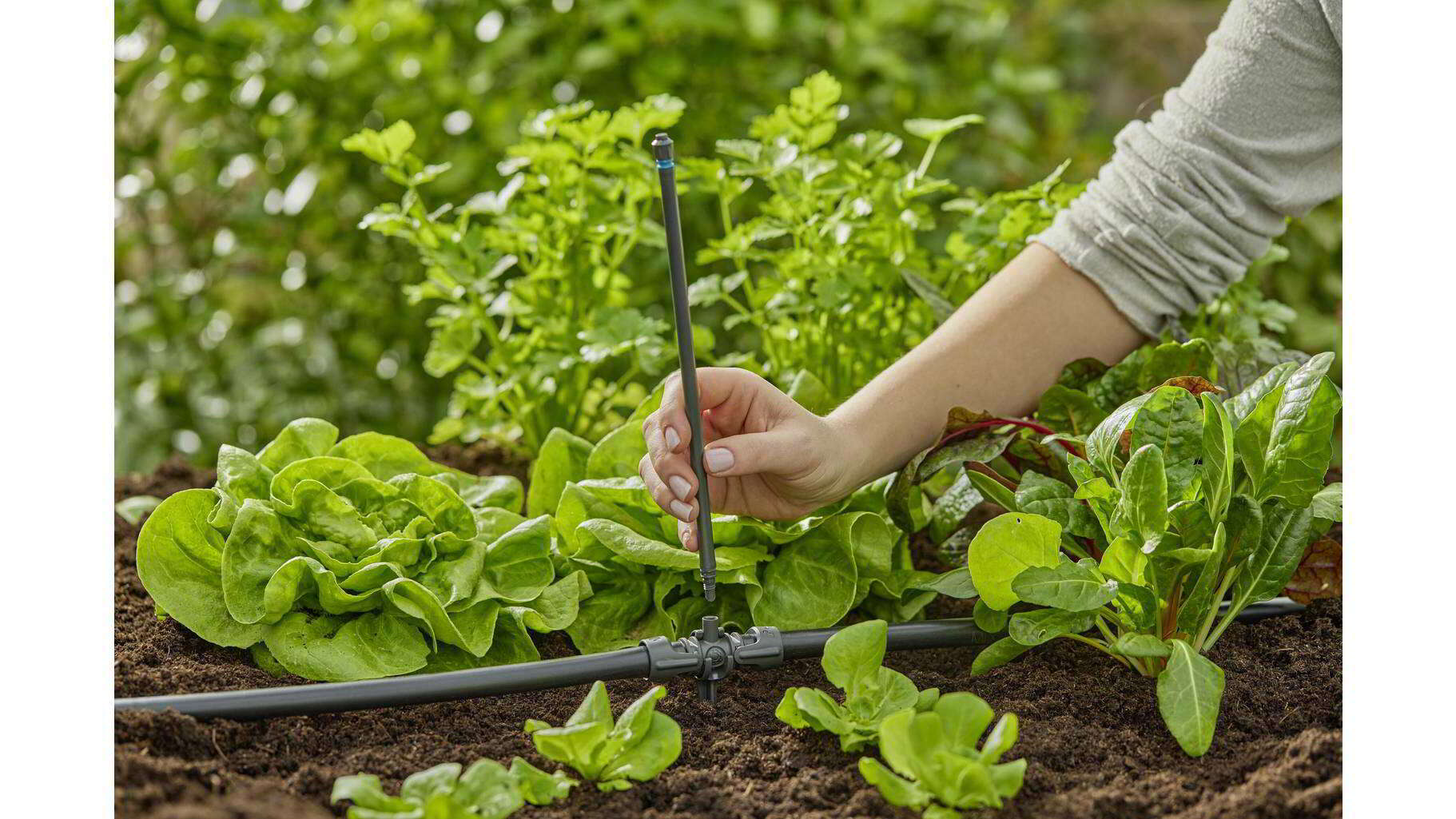 Gardena 13326-20 Micro-Drip-System Öntözőrendszer öntözőfej kieme...