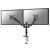 NewStar DS70-750BL2 17"-27" Uchwyt biurkowy do TV/Monitora LCD - Czarny (2 ekrany) 72791278