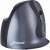 Evoluent VerticalMouse D Small Wireless Maus - Silber/Schwarz