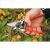 Felco 6 Classic Gartenschere im Einsatz