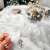 Springos 6 cm clear acrylic Christmas ornament balls with decorations