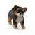 Schleich Chihuahua puppy figurine