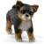 Schleich Chihuahua puppy figurine
