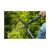 Nożyce do żywopłotu Gardena EasyCut 107180387